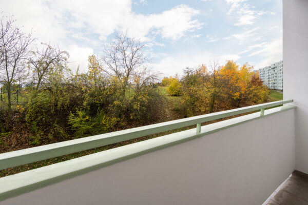 Z71_1017-Edit (1) Pronájem bytu 3+1 79 m²